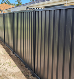 Colorbond Fence in Dune Colour